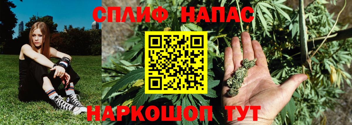 Шишки марихуана семена  Каннабис индика  Вход с VPN  Канабис THC 21%  Грозный 